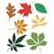 Fall Leaves Cutting Die Set by Recollections™